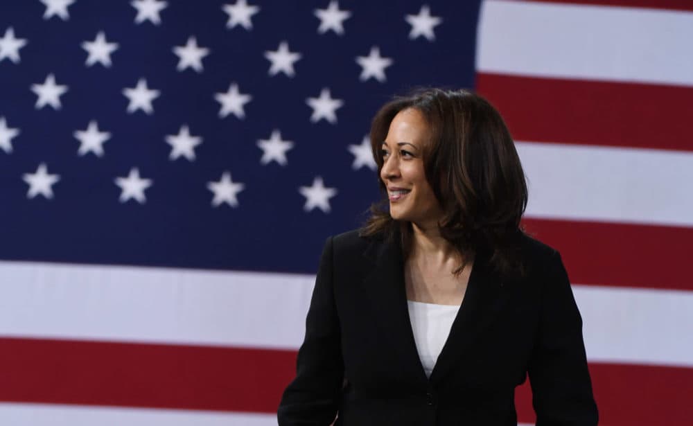 Then Sen. Kamala Harris at the National Forum on Wages and Working People on April 27, 2019 in Las Vegas, Nevada.  (Ethan Miller/Getty Images)