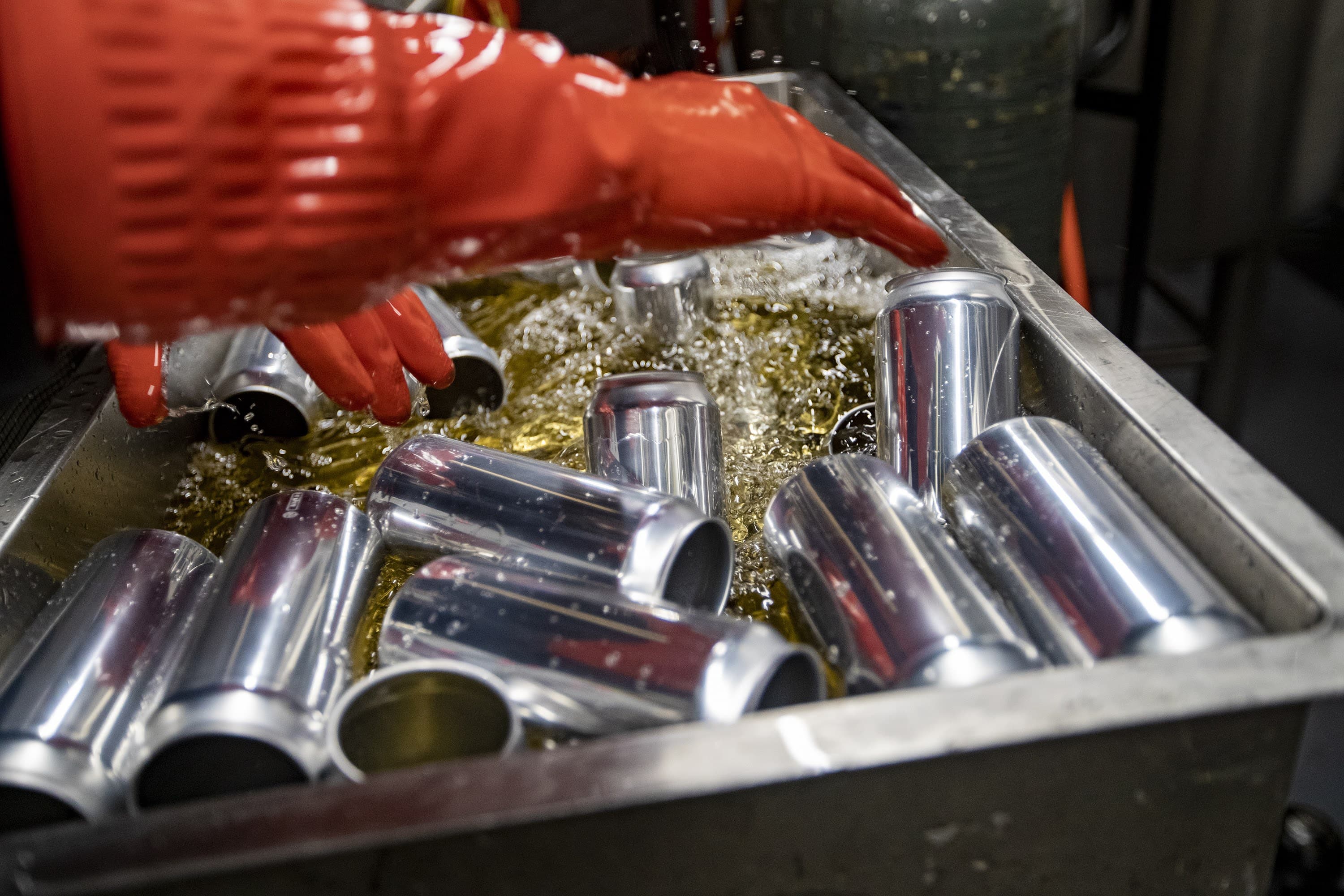 Joel Macleod submerges a case of empty cans into sanitizing solution before filling them with beer at Brato. (Jesse Costa/WBUR)