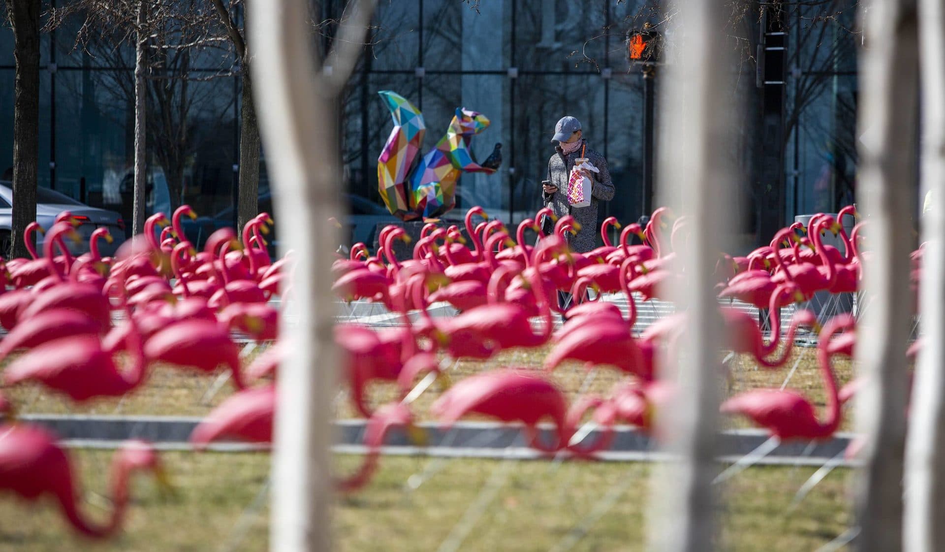 A giant, rainbow squirrel and a flock of plastic flamingos are among the public art installations brought to Boston by WS Development. (Robin Lubbock/WBUR)