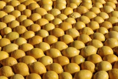 Lemon decorations at the 86th Lemon Festival on February 16, 2019 in Menton, France. (Patrick Aventurier/Getty Images)