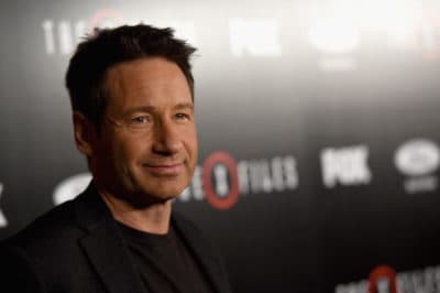 Actor David Duchovny. (Kevin Winter/Getty Images)