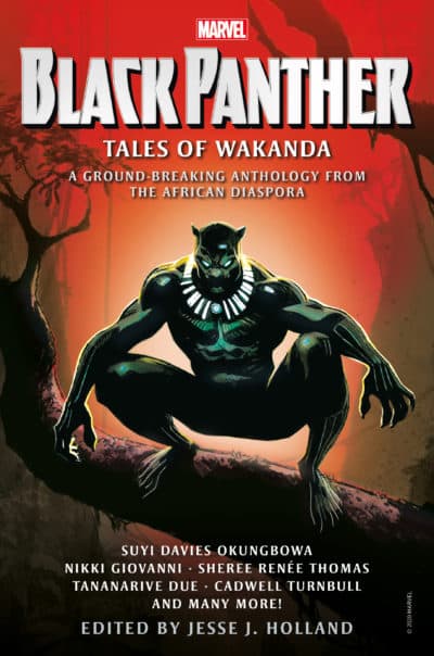 The cover of "Black Panther: Tales of Wakanda: A Ground-Breaking Anthology from the African Diaspora." (Titan Books)