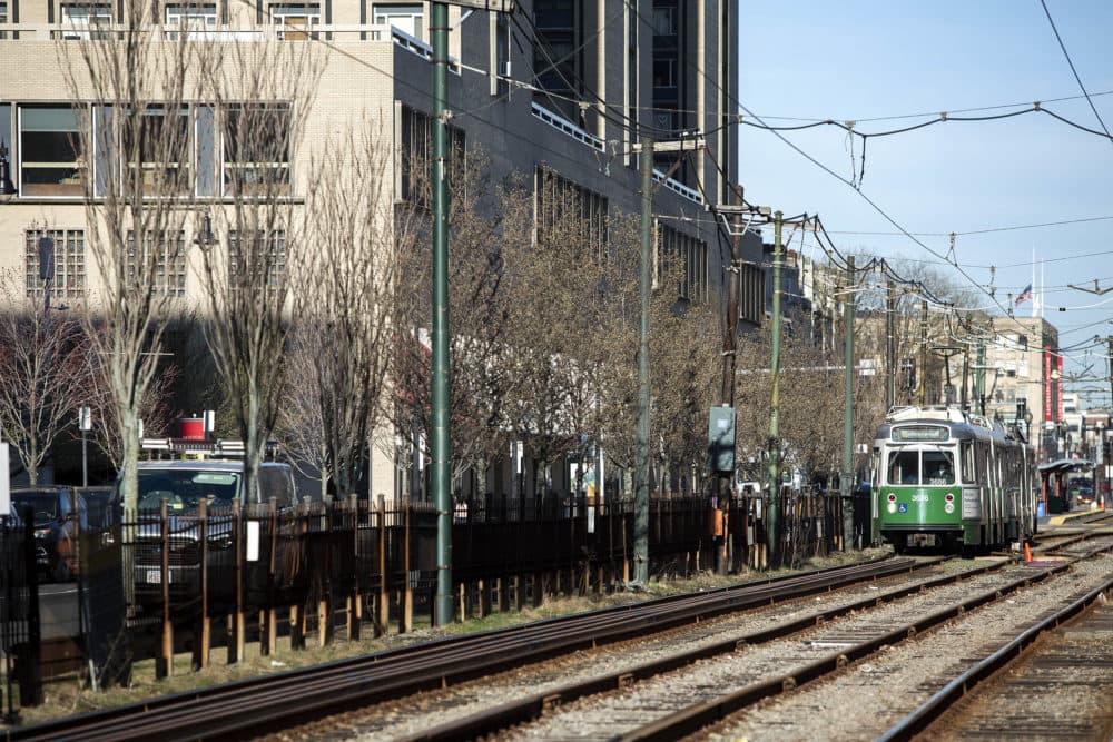 Trees line the Green Line tracks on Commonwealth Avenue. (Robin Lubbock/WBUR)