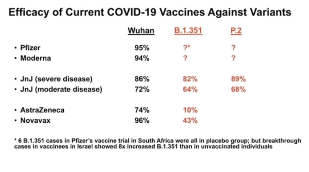 A figure from Dr. Dan Barouch's testimony at the COVID-19 legislative hearing on coronavirus variants. (Courtesy Dan Barouch)