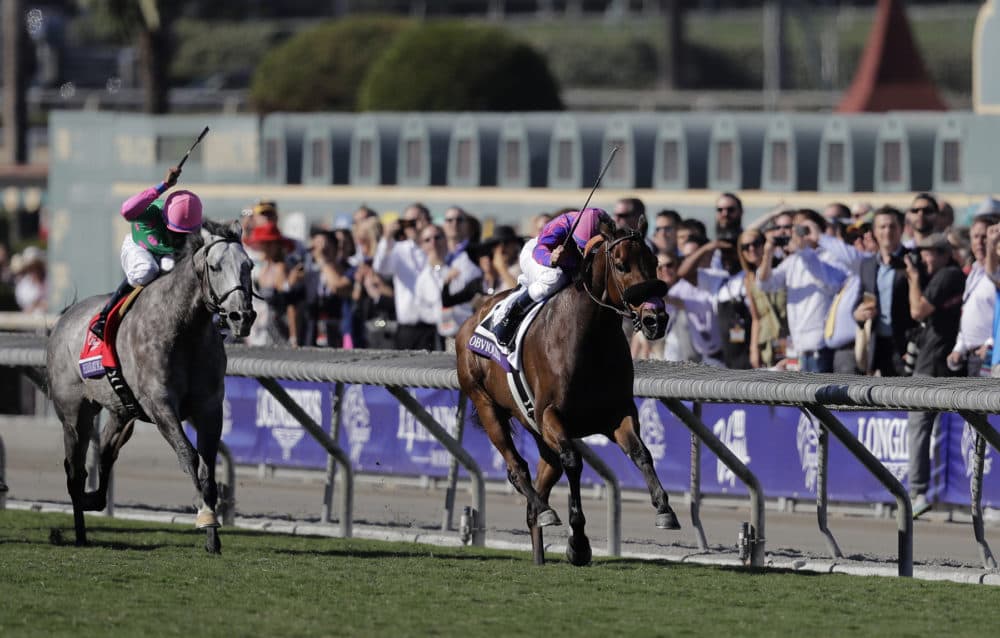 Pure Sensation ridden by Kendrick Carmouche (left) at the Breeders' Cup Turf Sprint horse race at Santa Anita Park, Saturday, Nov. 5, 2016, in Arcadia, Calif. (Jae C. Hong/AP)