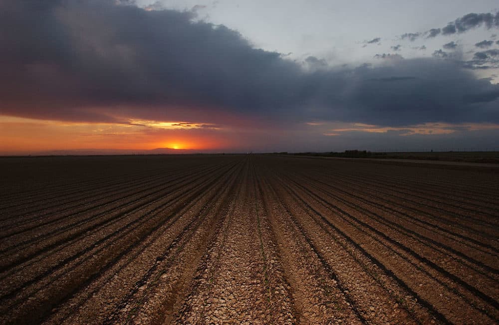 The sun sets on a plowed field that will need Colorado River water to yield a crop October 17, 2002 near El Centro, California. (David McNew/Getty Images)