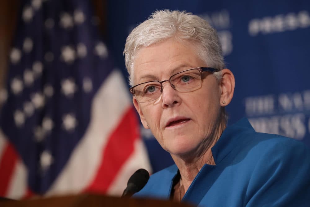 Gina McCarthy (Chip Somodevilla/Getty Images)