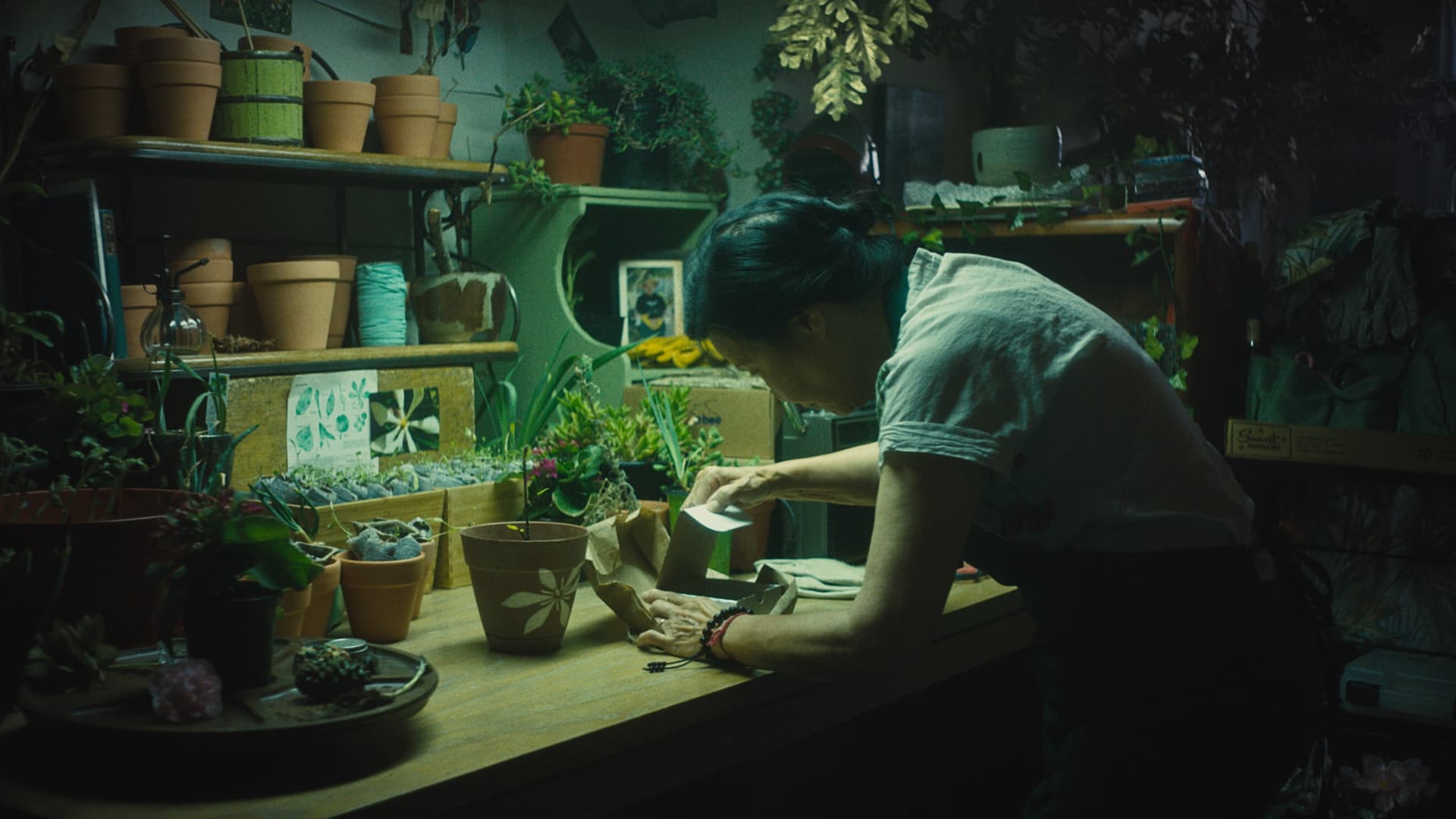 The Sentient.Omnibus project will screen "In Full Bloom" in June. The film follows a Vietnamese immigrant mourning the loss of her
partner. (Courtesy Maegan Houang)