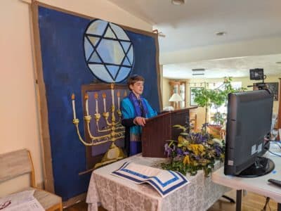 The author's son during his Zoom bar mitzvah, in the family's living room. (Courtesy).