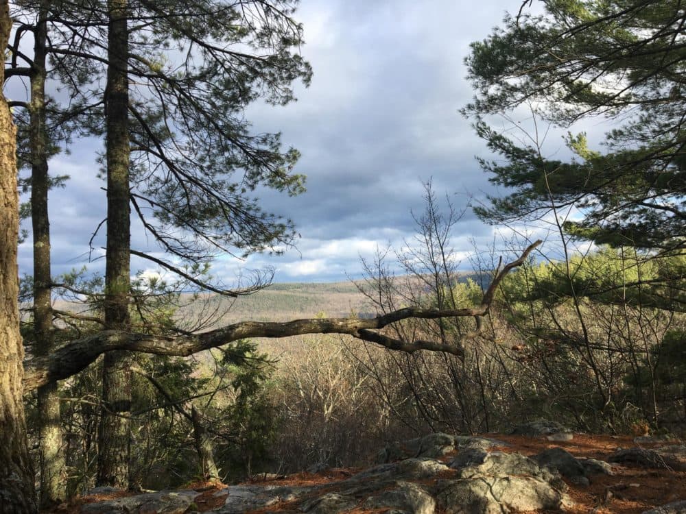 A view near Peeskawso Peak on Monument Mountain. (Nancy Eve Cohen/NEPM)