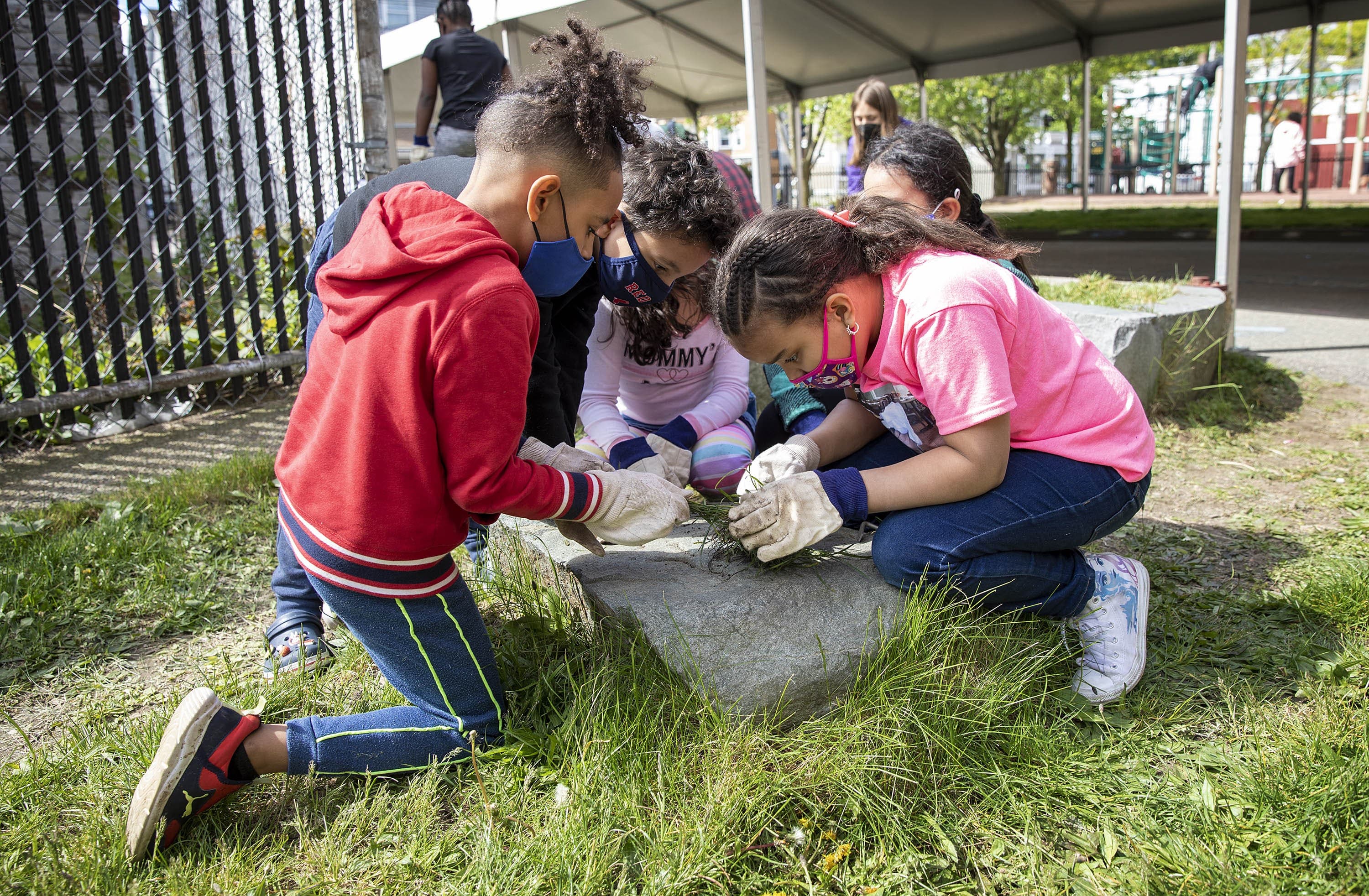 Los estudiantes de segundo grado de Crystal Alcala observan lo que han excavado en el jardín de la escuela Greenwood en Dorchester. (Robin Lubbock / WBUR)
