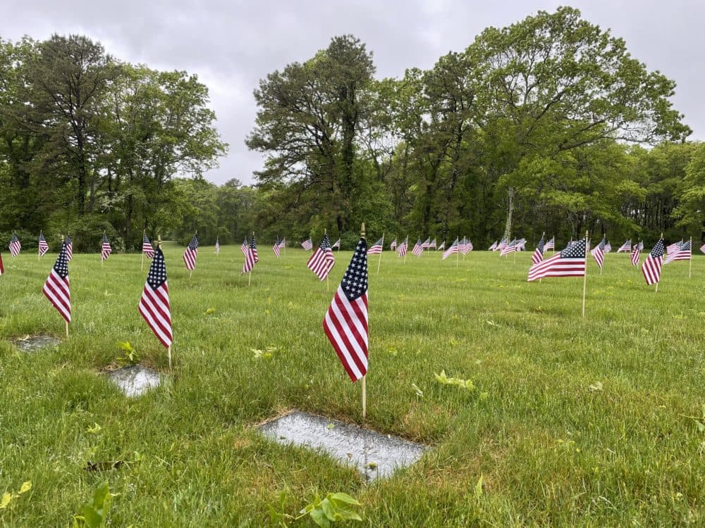 Operation Flags for Vets (Alex Ashlock/Here & Now)