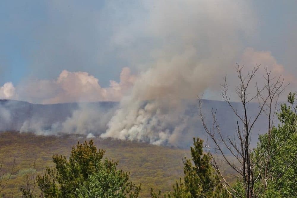 Fire crews battle an 800-acre fire in northern Berkshire County. (Savoy Fire Rescue/Facebook)