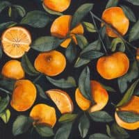 (&quot;Oranges" by Sumit Gill)