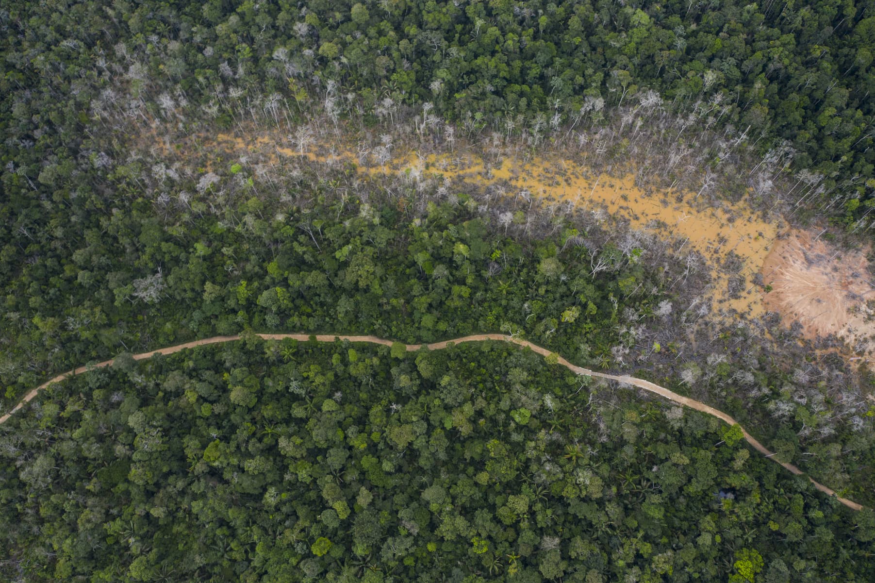 This April 3, 2019, photo shows the destruction of the jungle caused by illegal miners in Peru's Tambopata province. (Rodrigo Abd/AP)