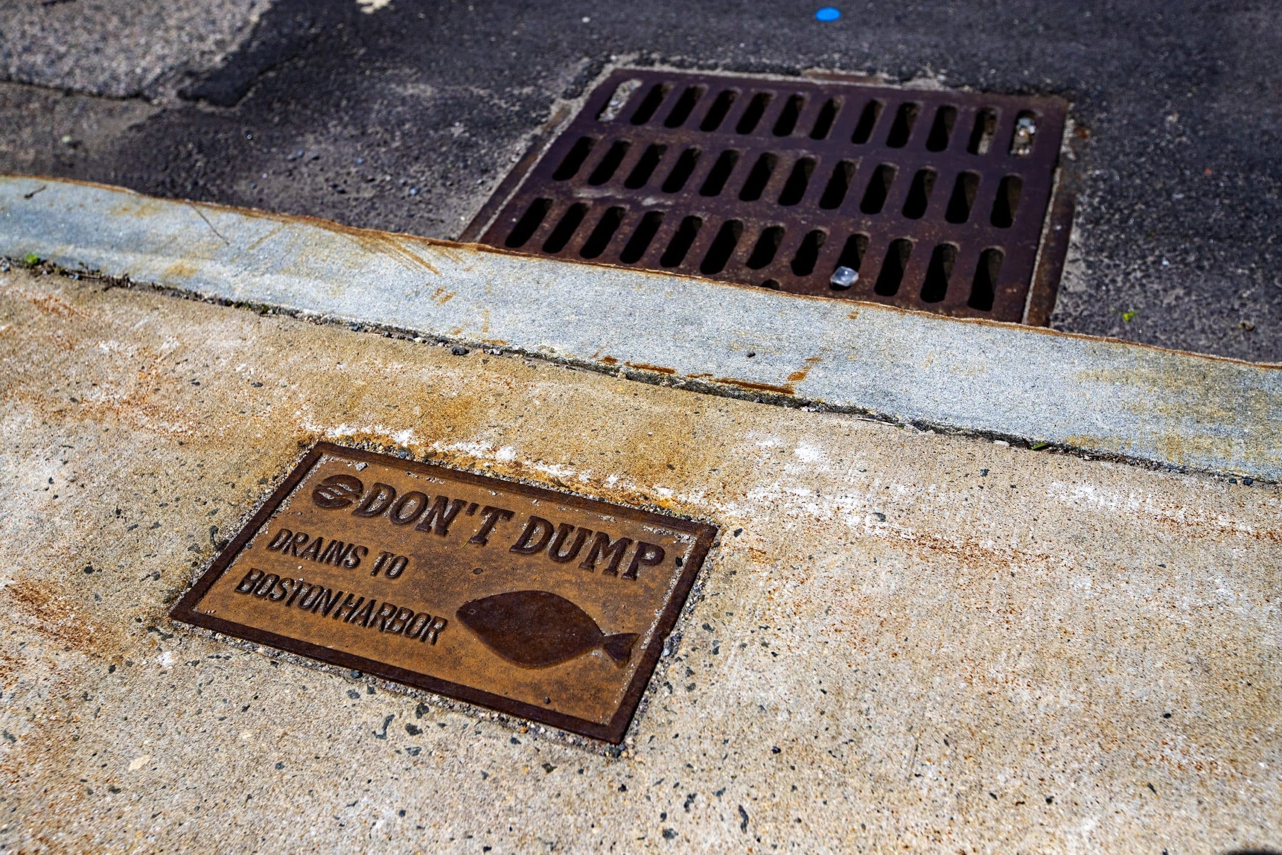 A plaque installed into the sidewalk on Hallet Street warns anything that goes into the drain goes to Boston Harbor. (Jesse Costa/WBUR)