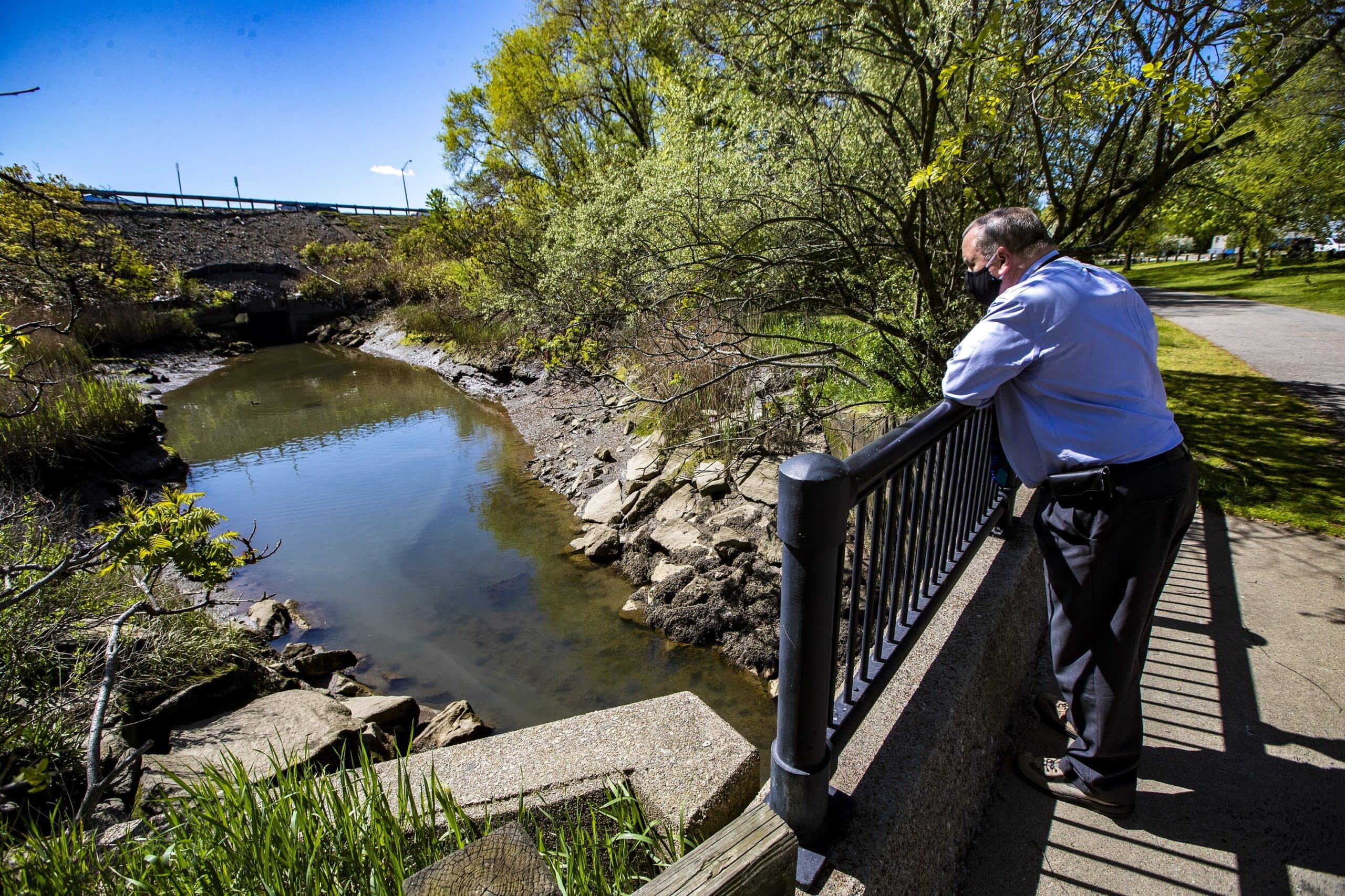 Charlie Jewell, director of planning at Boston Water and Sewer Commission, stands on a bridge near I-93 and watches water flowing in Davenport Creek. When it rains, stormwater flows into this creek and eventually ends up in Boston Harbor. (Jesse Costa/WBUR)