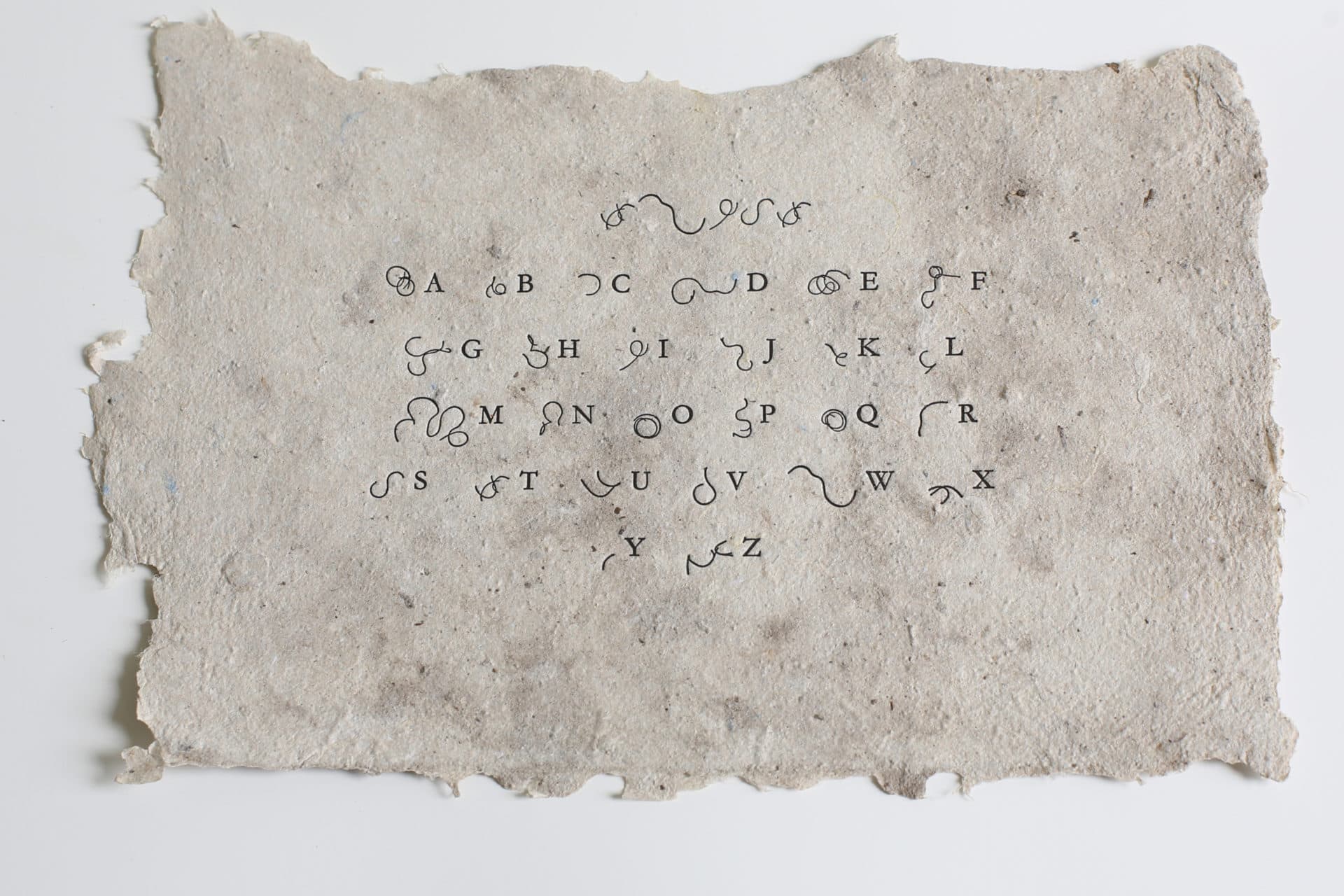 Sonya Clark, "Power Tools: press / text / land / language," 2020. (Courtesy Jonathan Jackson)