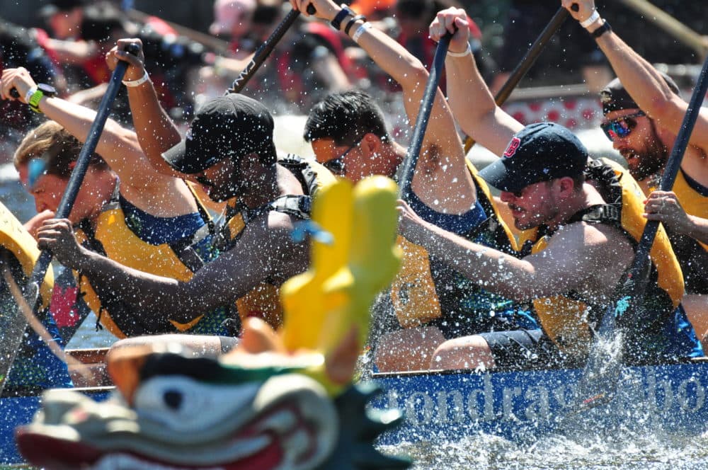 The 2019 Boston Dragon Boat Races. (Courtesy Will Wang)