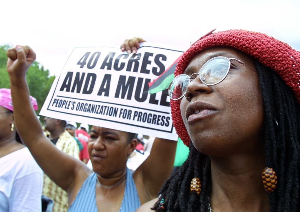 Andrea Levy (R) from Queens, New York, joins other demonstrators for slave reparations on the National Mall August 17, 2002 in Washington, D.C. (Manny Ceneta/Getty Images)