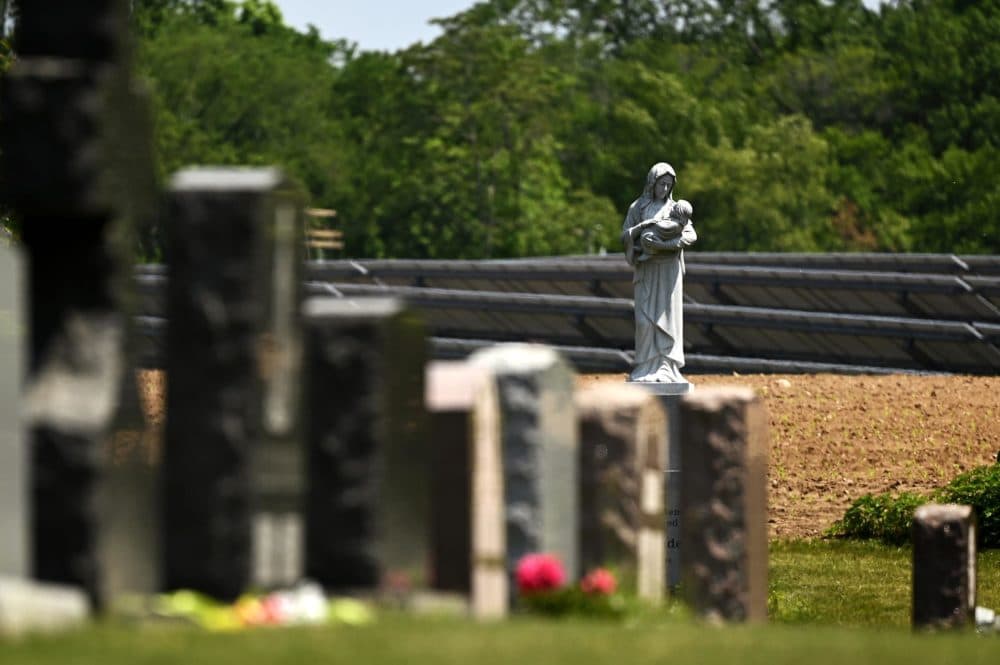 A solar farm near All Saints Cemetery in North Haven. (Joe Amon/Connecticut Public)