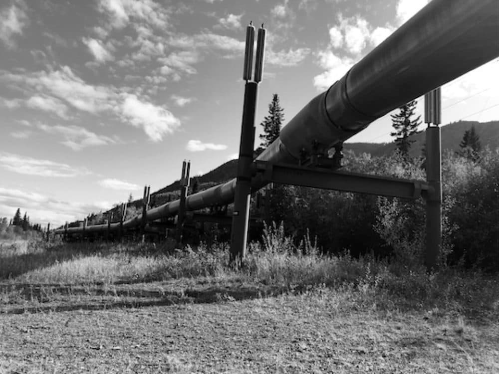 Thermosiphons or "chillers" on the Alyeska Pipeline, which runs on a N-S axis across Alaska, taken by the author on a trip to the state in 2019. Oil companies heat oil to make it flow, but doing so tends to thaw the permafrost that the pipeline's supports rest on. (Frederick Hewett)