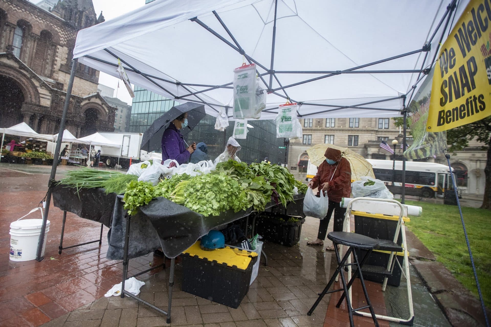 Only six out of the normal 25 vendors that operate at the Copley Square Farmer’s Market on Friday decided to brave weather. (Jesse Costa/WBUR)