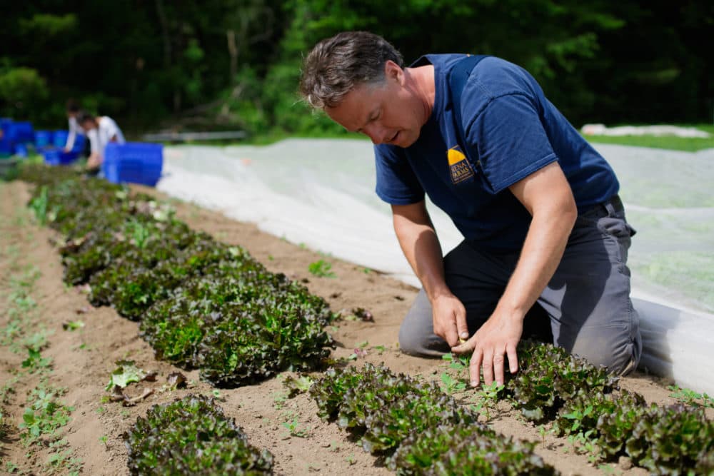Siena Farms owner Chris Kurth says his business teetered on the edge of bankruptcy until CSA memberships quadrupled during the pandemic. (Chris Cardoza/Siena Farms)