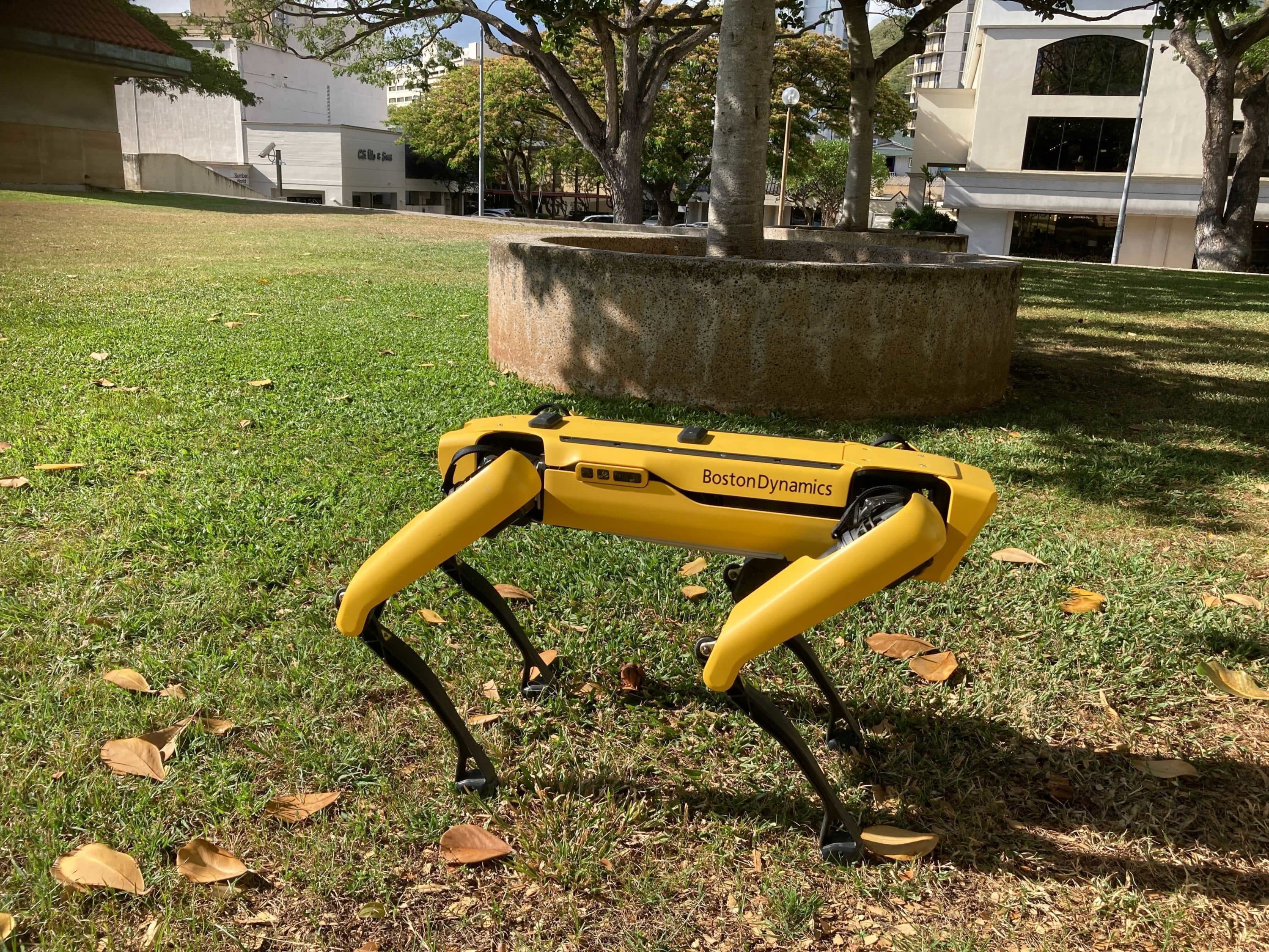 Police officials experimenting with the four-legged machines say they’re just another tool, like drones or simpler wheeled robots, to keep emergency responders out of harm’s way. (Jennifer Sinco Kelleher/AP)