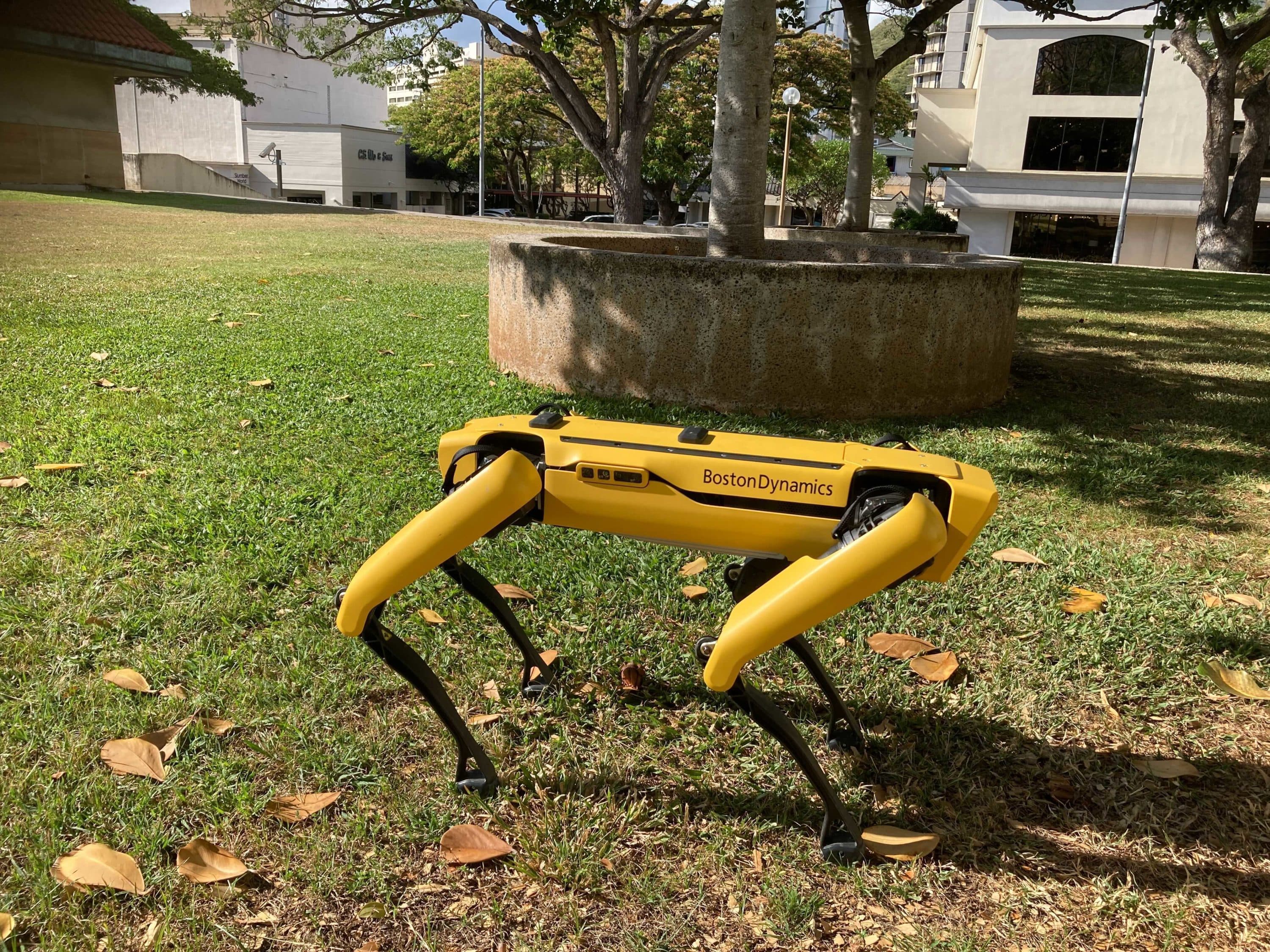 Les responsables de la police qui expérimentent les machines à quatre pattes disent qu'elles ne sont qu'un autre outil, comme des drones ou des robots à roues plus simples, pour garder les intervenants d'urgence hors de danger.  (Jennifer Sinco Kelleher/AP)