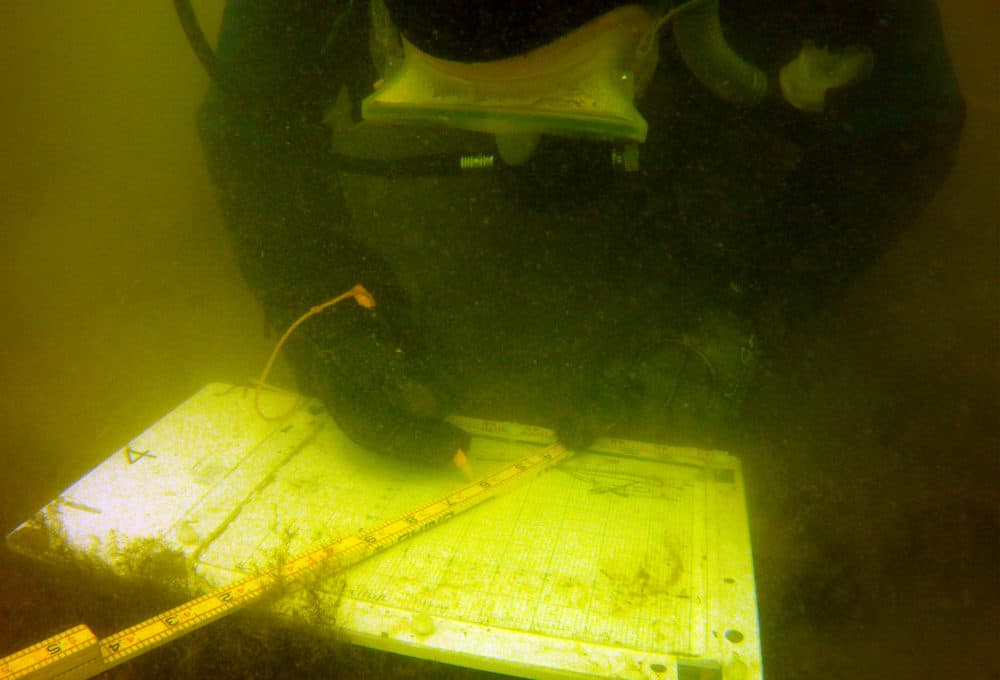 An underwater archaeology field school diver maps the shipwreck Arctic, 2017. (Kevin Cullen)