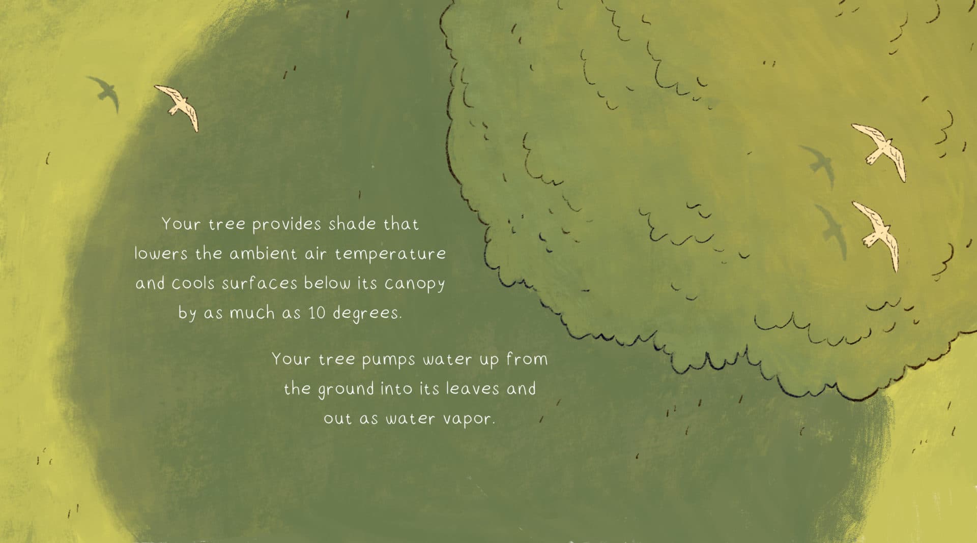 (Illustration by Sophie Morse for WBUR)