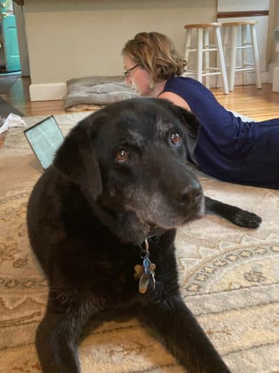 Connor lying faithfully beside the author. (Courtesy Kate Peltz)