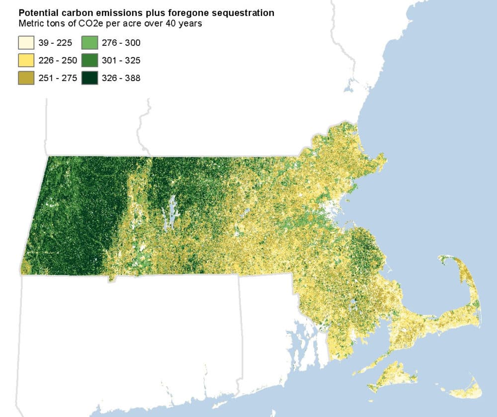 Map of "carbon consequences." If any given point on the map is deforested, the map shows the net carbon dioxide emission equivalents over the next 40 years. (Courtesy The Nature Conservancy)