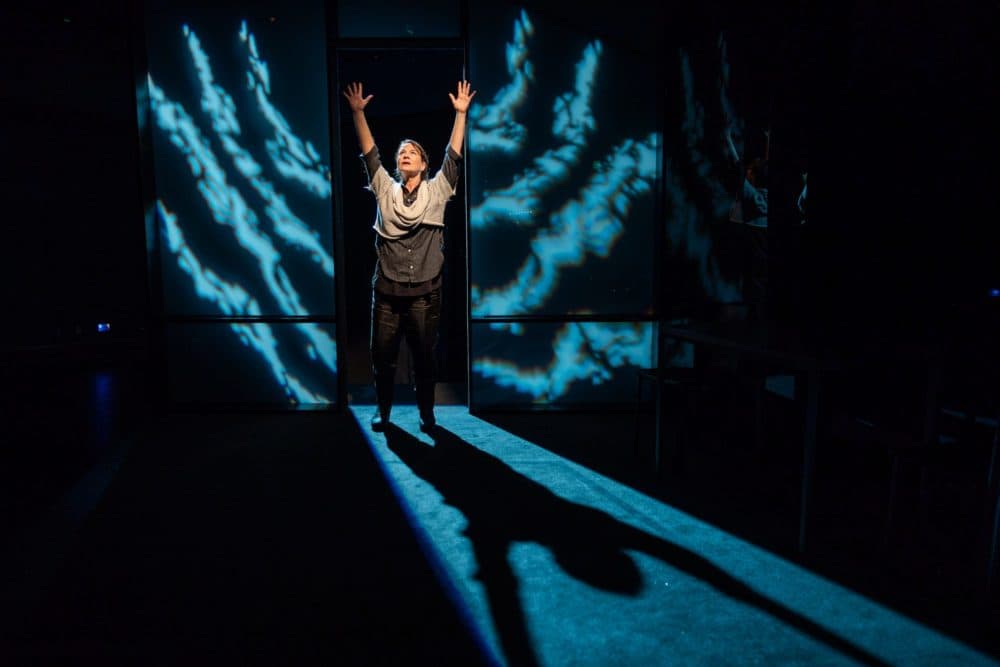 Jennifer Rohn in Adam Rapp's "The Sound Inside" at SpeakEasy Stage. (Courtesy Nile Scott Studios)
