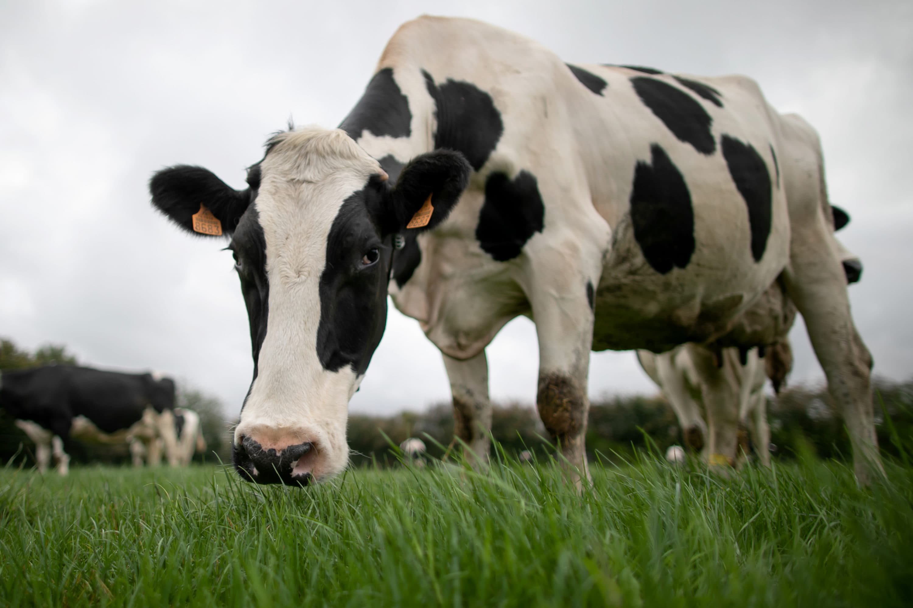Methane is a major contributor to climate change behind CO2 — but it's been largely overlooked - Vimarsana News
