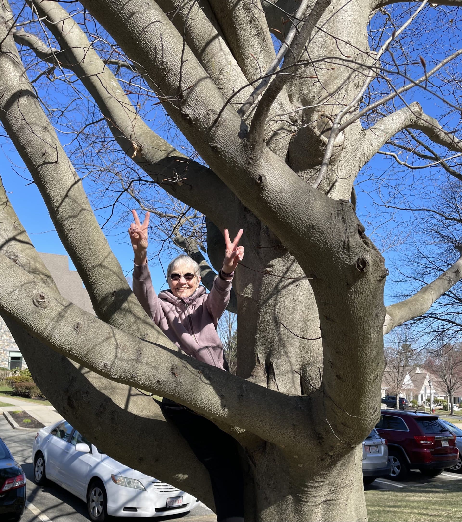 Sandy Kirchner, 81, climbed up a tree outside her Milton retirement home to signal that spring had arrived. (Courtesy Sandy Kirchner)