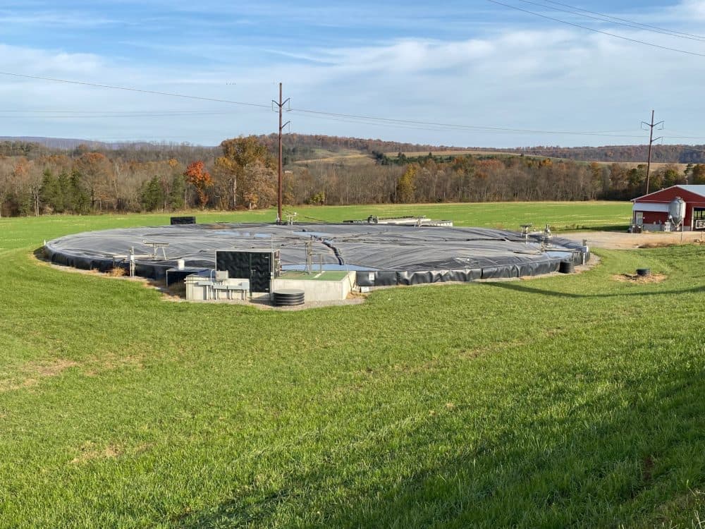 Methane digestors at Reinford Farms. (Brett Reinford)