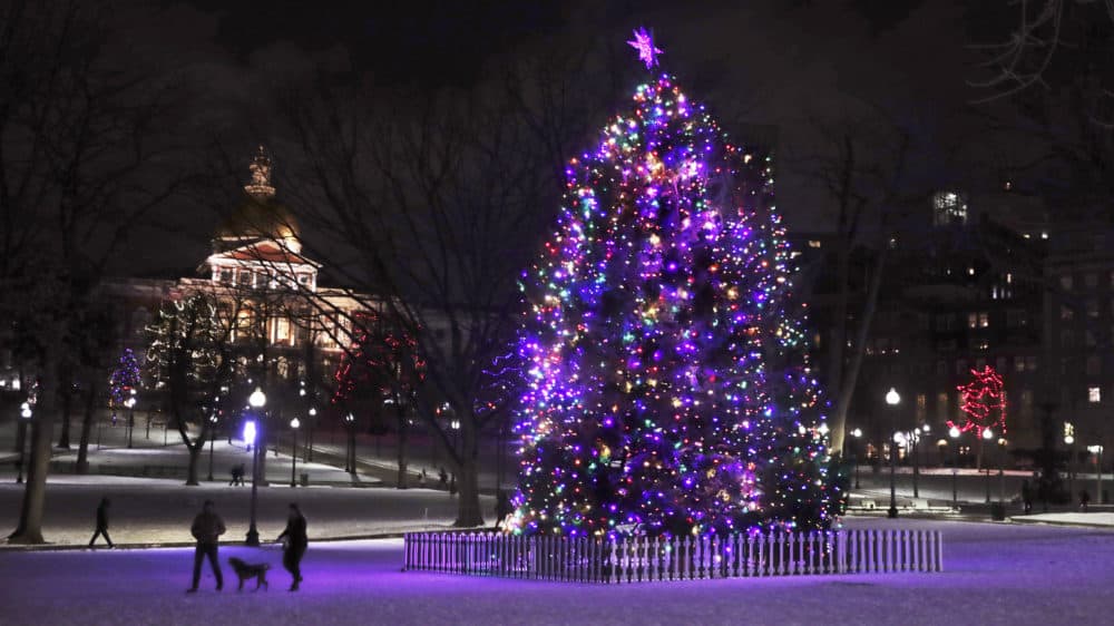 In this 2019 file photo, a couple walks a dog past the Boston Common Christmas tree, an annual gift given to the people of Boston by the people of Nova Scotia in thanks for their assistance after the 1917 Halifax Explosion. (Charles Krupa/AP)