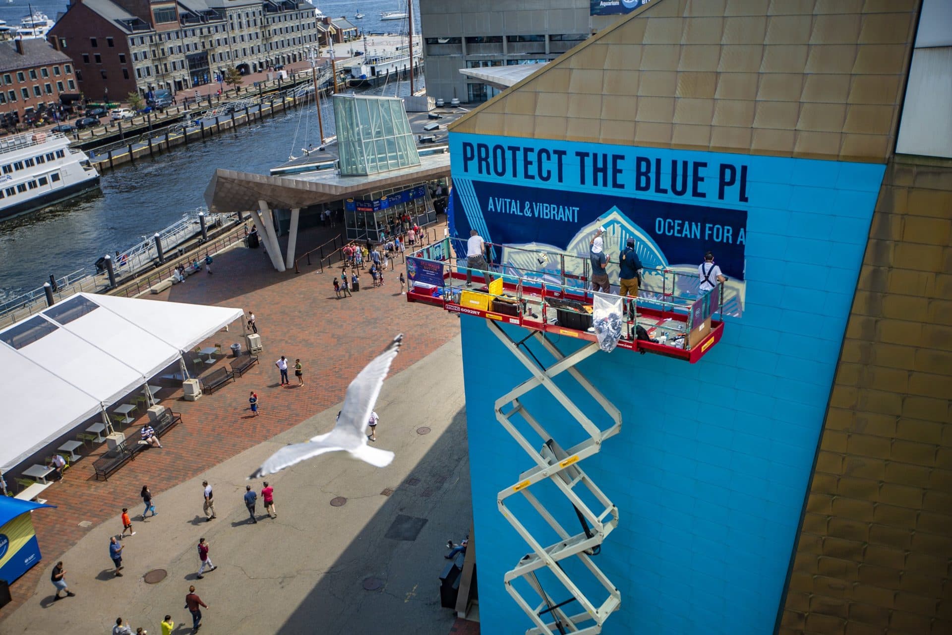 (Jesse Costa/WBUR)