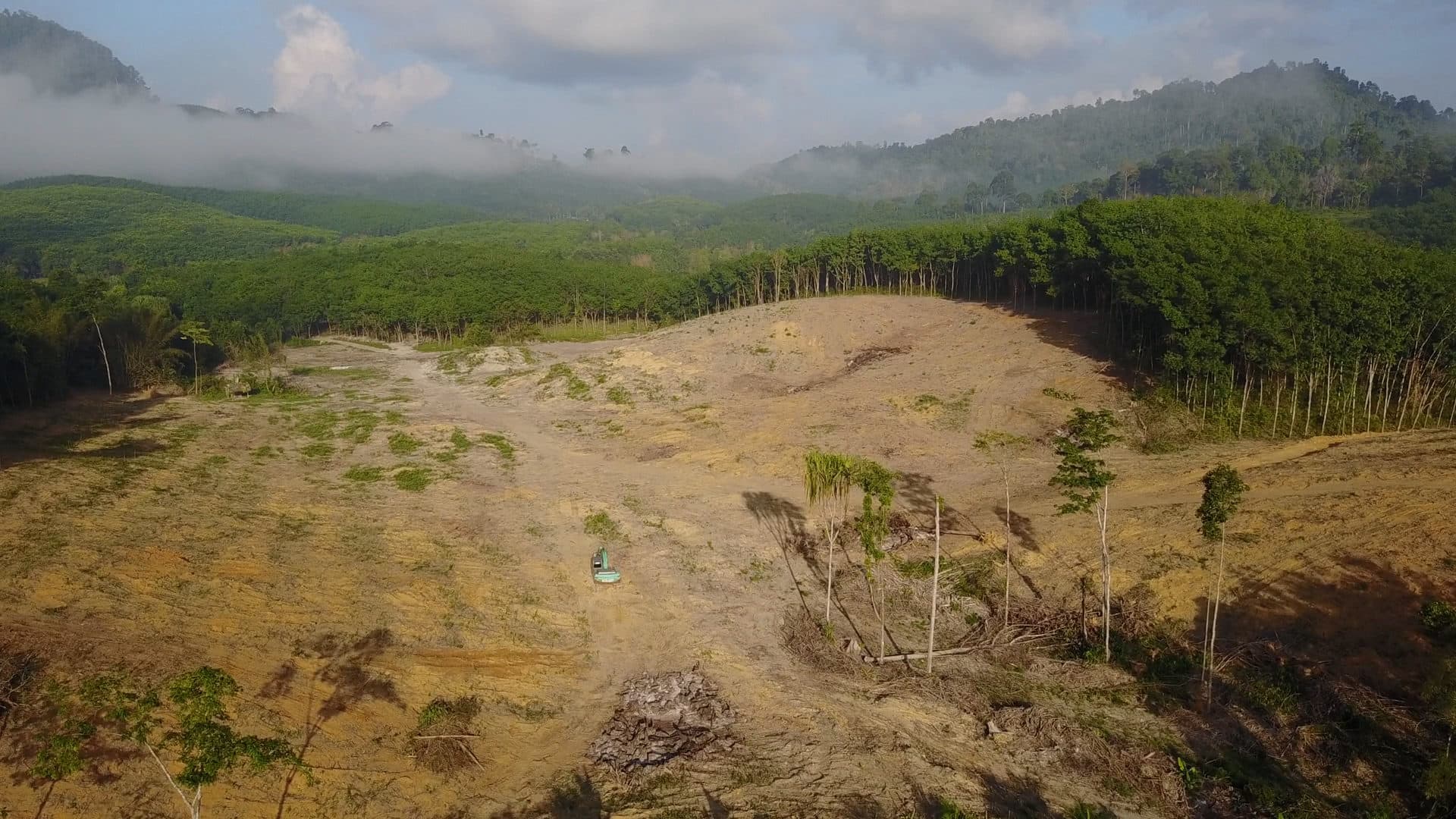 Deforestation pictured in a still from "Earth Emergency." (Courtesy PBS)