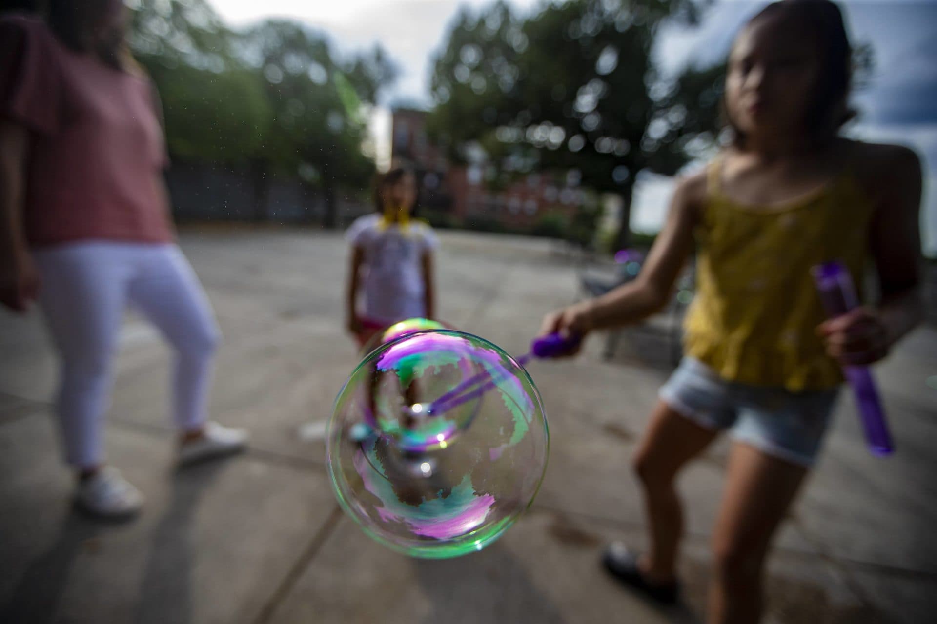 (Jesse Costa/WBUR)