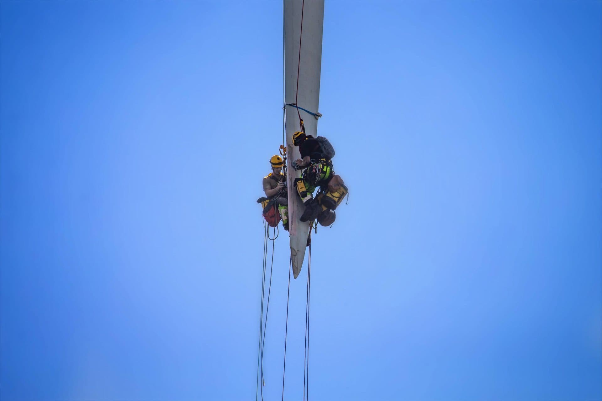 (Jesse Costa/WBUR)