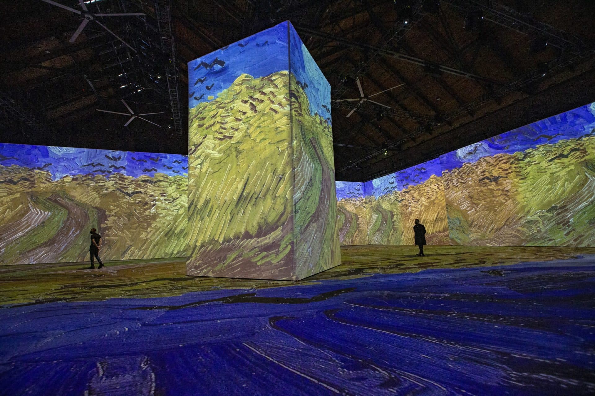 A projection of Vincent van Gogh’s “Wheatfield with Crows” seen during a press preview of "Imagine Van Gogh” at the SoWa Power Station. (Jesse Costa/WBUR)