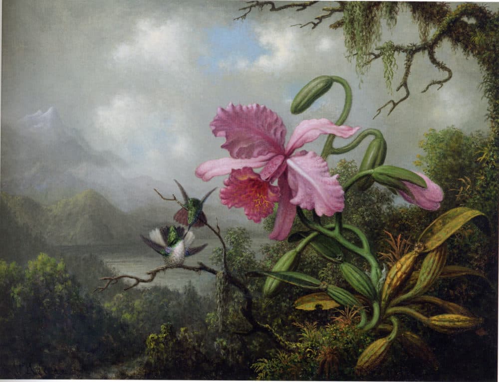 Martin Johnson Heade, "Orchid and hummingbirds near a mountain lake" (around 1875-1890).  (Courtesy Boston College)
