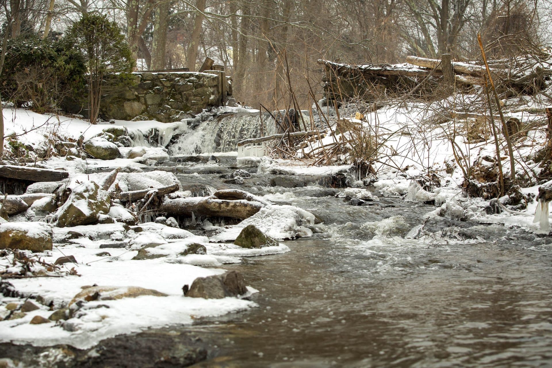 Water flowing through the spillway of the dam on Traphole Brook, the week before its demolition. (Robin Lubbock/WBUR)