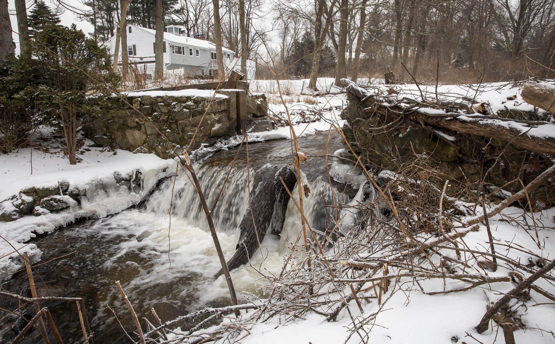 Water flows over the dam on Traphole Brook a week before the dam was removed. (Robin Lubbock/WBUR)