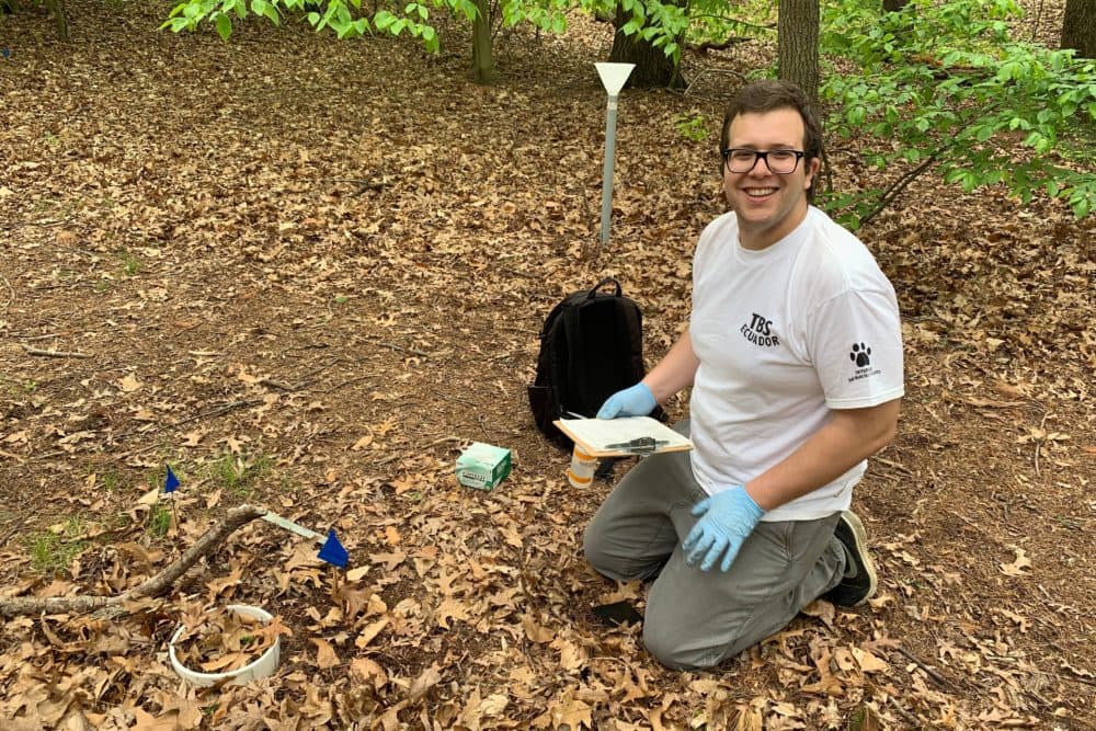 Luca Morreale at urban forest field site in Boston, MA. (Photo courtesy Sarah Garvey)