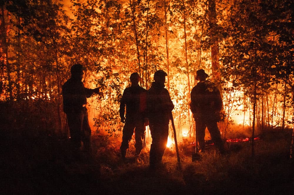 Co-author of new UN report on wildfire risk pushes for indigenous management solutions - Vimarsana News