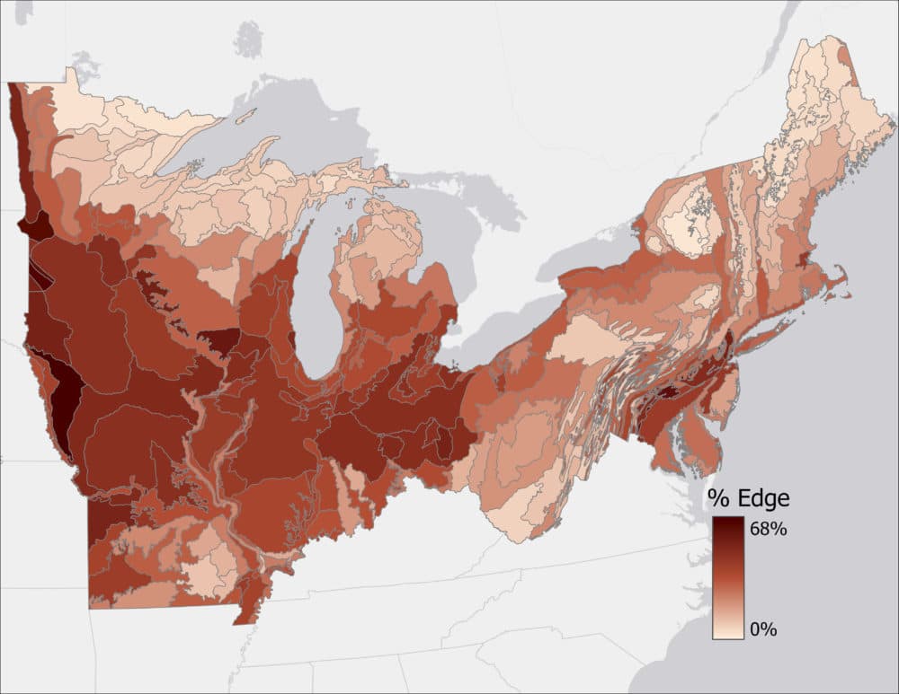 Percentage of forest area within 30 meters of a human-made edge. (Image courtesy Luca Morreale)